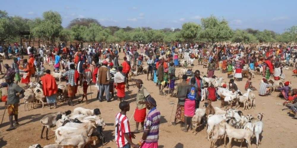 The Branding Project