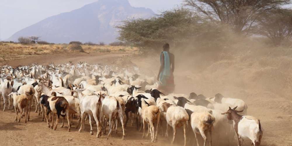 Exploring local constructs of resilience in the face of chronic uncertainty in the drylands (Resilience from Below)